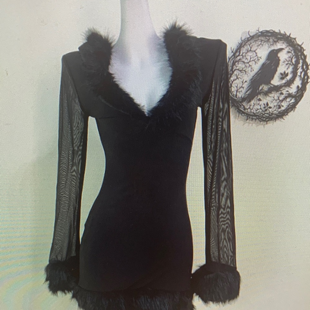 Zara Black Mini Dress with Sheer Sleeves